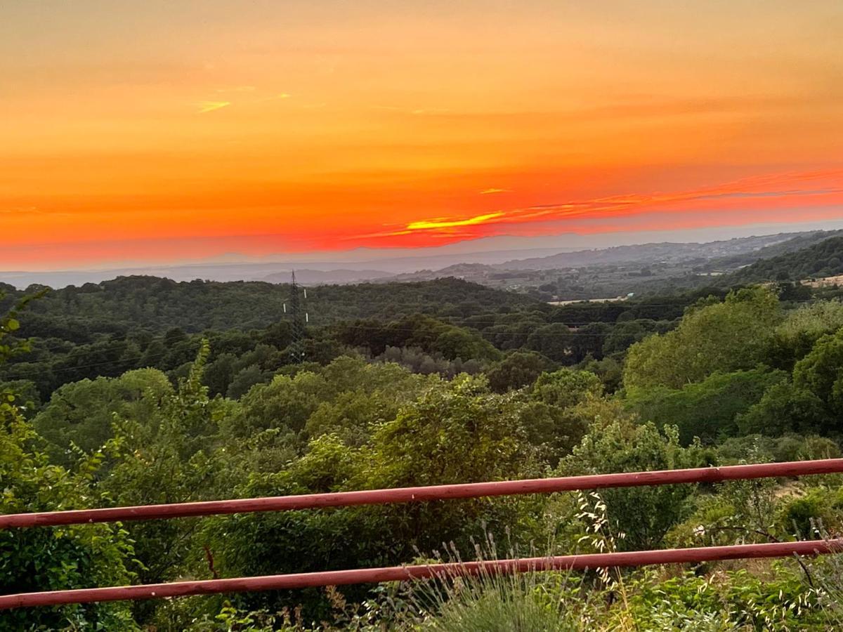 B&B Il Tramonto Barbarano Romano 외부 사진