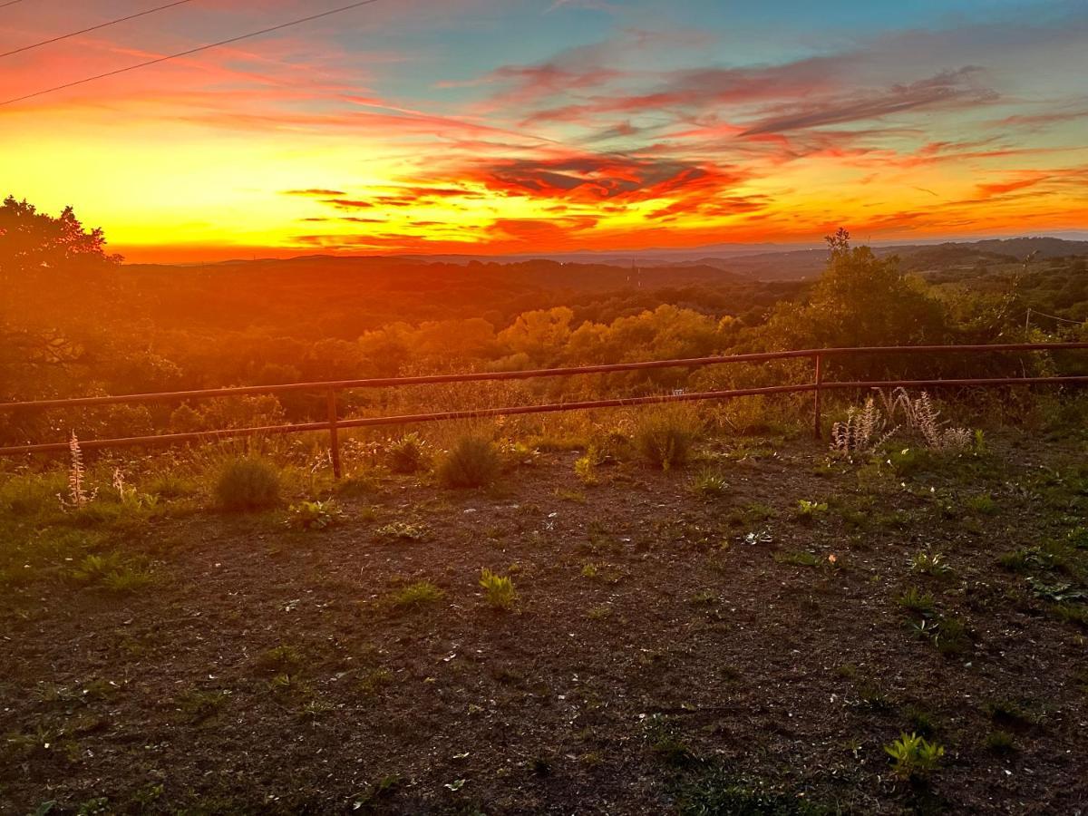B&B Il Tramonto Barbarano Romano 외부 사진