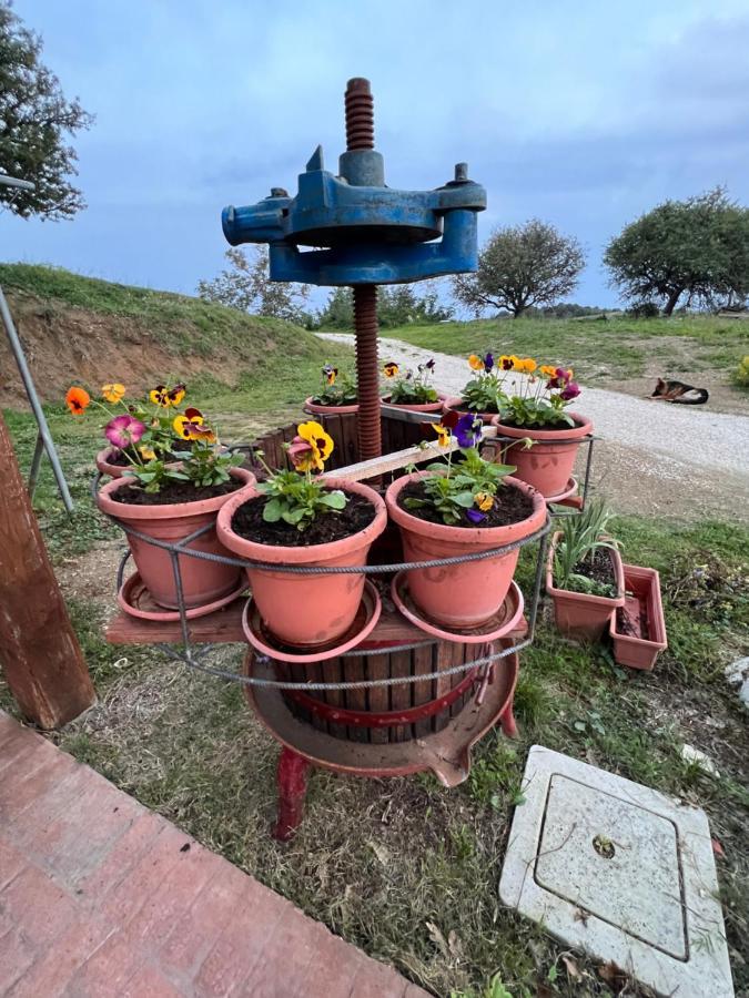 B&B Il Tramonto Barbarano Romano 외부 사진