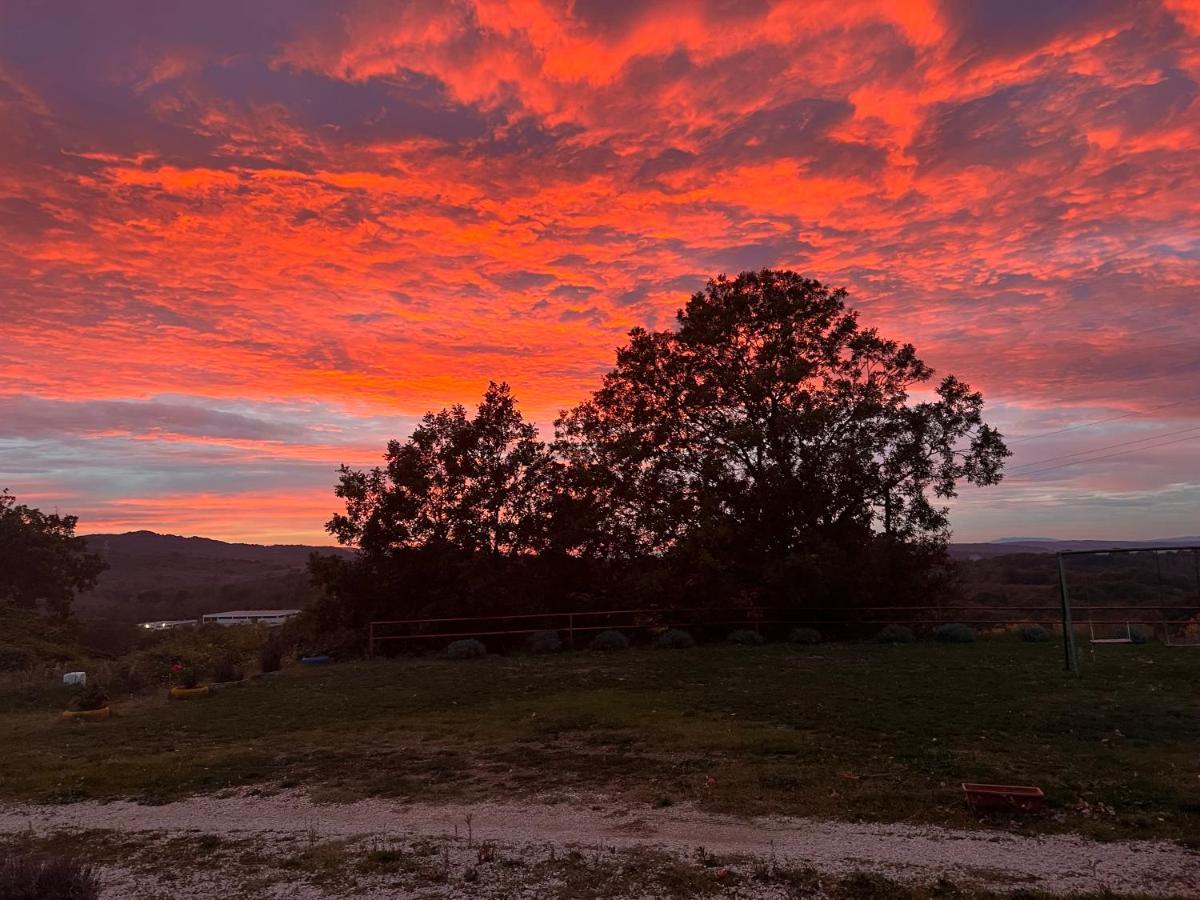 B&B Il Tramonto Barbarano Romano 외부 사진