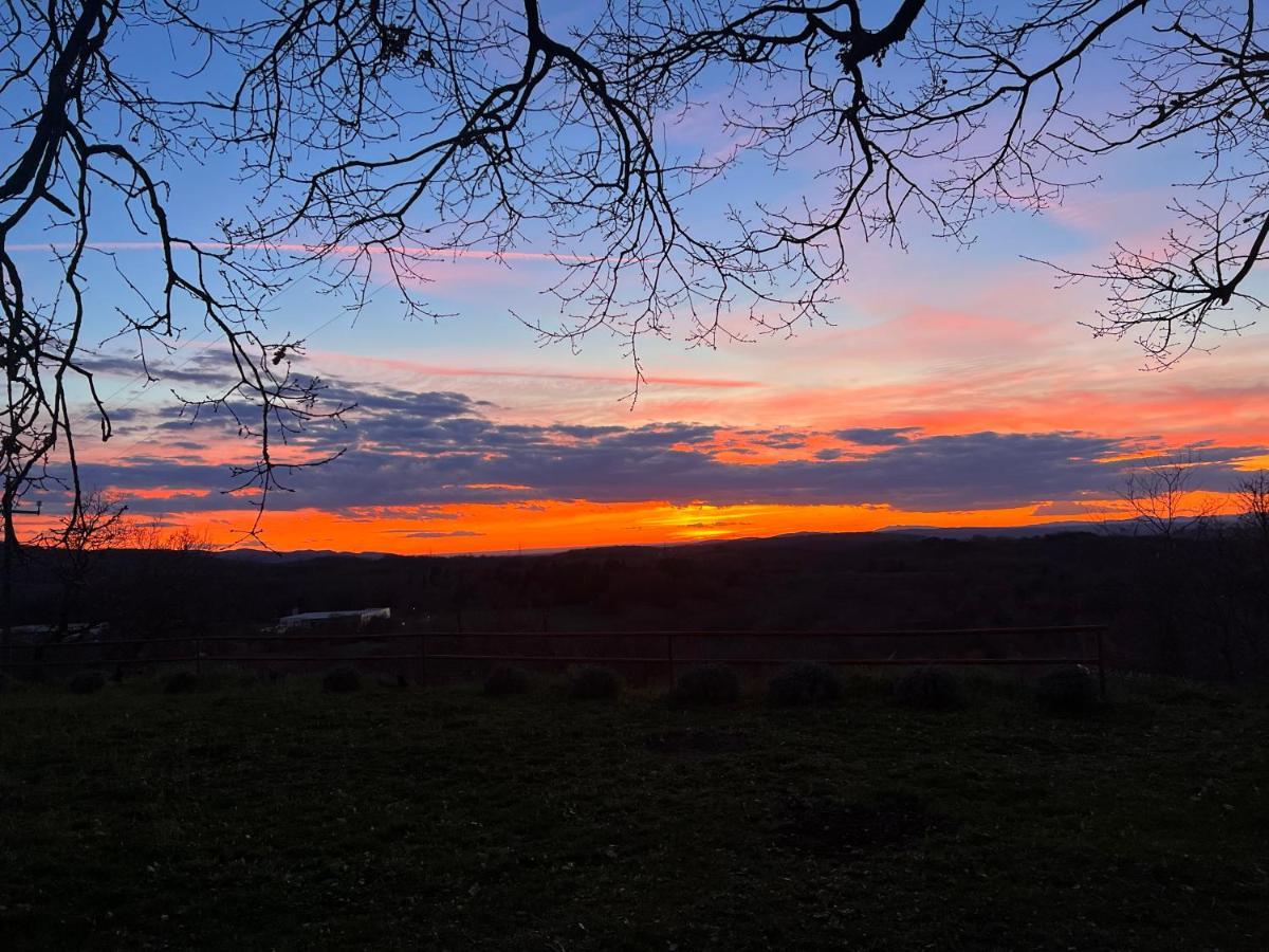 B&B Il Tramonto Barbarano Romano 외부 사진