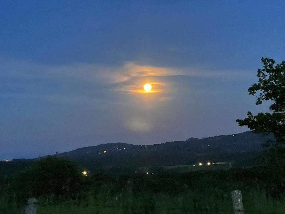 B&B Il Tramonto Barbarano Romano 외부 사진
