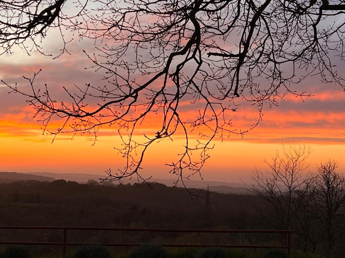 B&B Il Tramonto Barbarano Romano 외부 사진